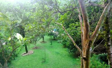 Finca en venta en Barbosa - Vereda Aguas Claras