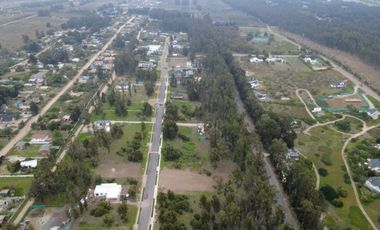 COSTA QUILEN, BOSQUES DE QUILEN, PUCHUNCAVÍ
