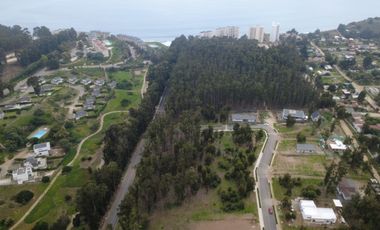 COSTA QUILEN, BOSQUES DE QUILEN, PUCHUNCAVÍ