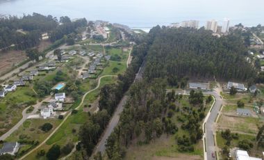 COSTA QUILEN, BOSQUES DE QUILEN, PUCHUNCAVÍ