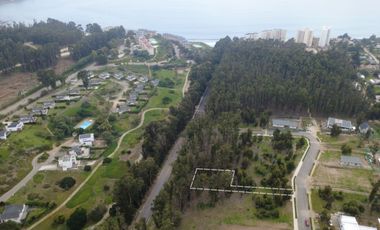 COSTA QUILEN, BOSQUES DE QUILEN, PUCHUNCAVÍ