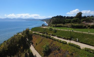 COSTA QUILEN, BOSQUES DE QUILEN, PUCHUNCAVÍ