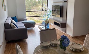 Departamento Acacias