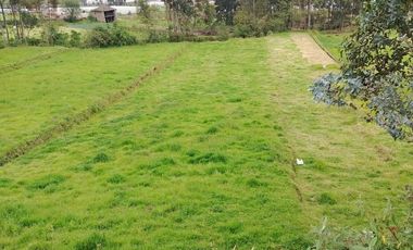 Terreno en Norte de Chambo