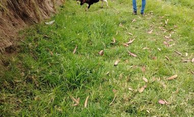 Terreno en Norte de Chambo