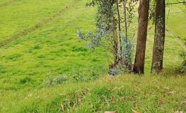 Terreno en Norte de Chambo