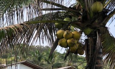 Terreno en venta. Oportunidad Única de Inversión Frente al Mar