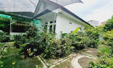 Rumah Nyaman Asri Dan Luas Mangkubumen Solo