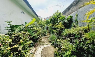 Rumah Nyaman Asri Dan Luas Mangkubumen Solo