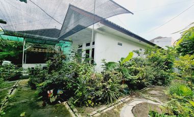 Rumah Nyaman Asri Dan Luas Mangkubumen Solo