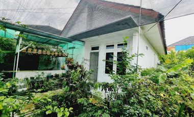 Rumah Nyaman Asri Dan Luas Mangkubumen Solo