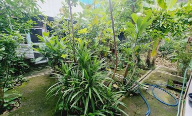 Rumah Nyaman Asri Dan Luas Mangkubumen Solo