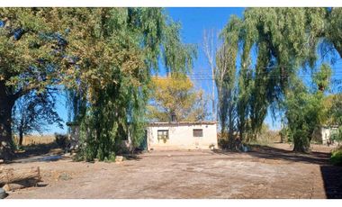 VENTA FINCA 84 HAS CON PROD. DE MALBEC- PUENTE DE HIERRO, GUAYMALLEN