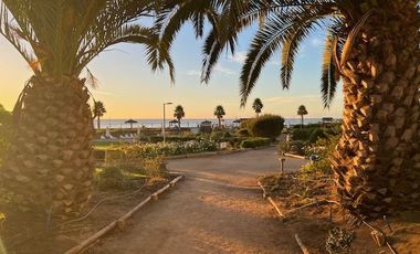 Departamento en Arriendo en Av. Maritima 850