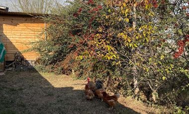 Quinta en General Roca