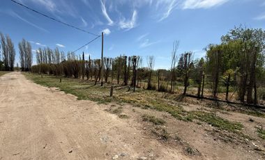 Quinta en General Roca