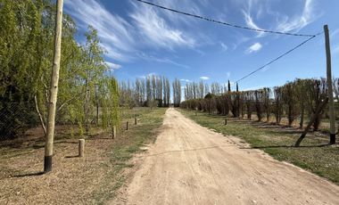 Quinta en General Roca