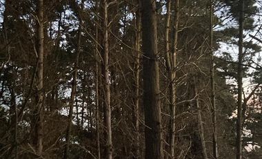 Sitio en Venta en laguna verde