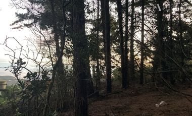 Sitio en Venta en laguna verde