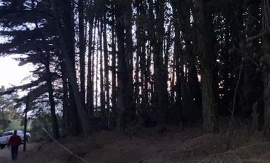 Sitio en Venta en laguna verde