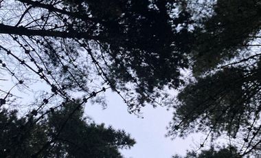 Sitio en Venta en laguna verde