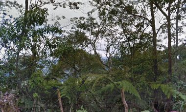 Venta Lote cerca al km18