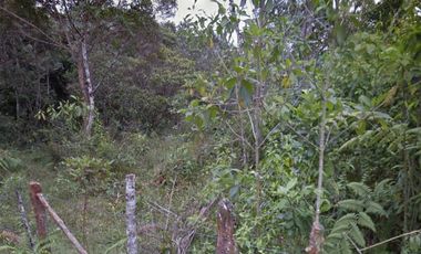 Venta Lote cerca al km18