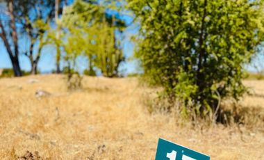 Vendo 2 x 1 parcelas con rol propio directo Escritura