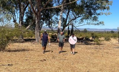 Vendo 2 x 1 parcelas con rol propio directo Escritura