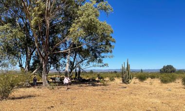 Vendo 2 x 1 parcelas con rol propio directo Escritura