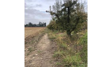 Vendo terrenos Agricolas en San Fernando