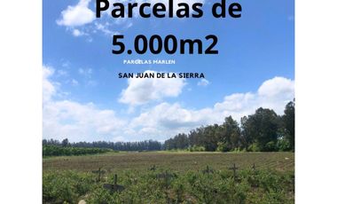 Vendo terrenos Agricolas en San Fernando