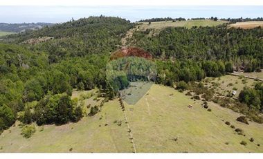 Venta de hermosas parcelas en los Muermos,