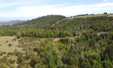 Venta de hermosas parcelas en los Muermos,