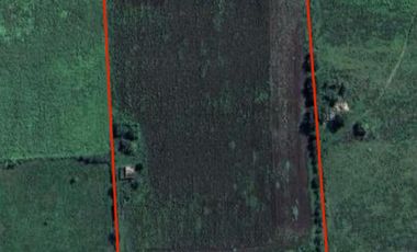 Campo de 6 hectáreas en Perez