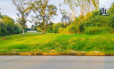 Terreno en Venta Zona Comercial, Camino Coatepec - Estanzuela