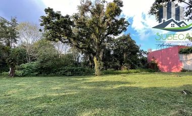 Venta de Terrenos, Briones, Zoncuantla, Coatepec