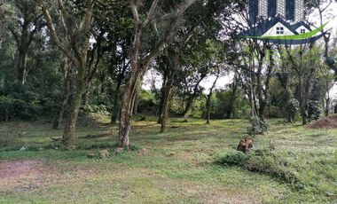 Venta de Terrenos, Briones, Zoncuantla, Coatepec