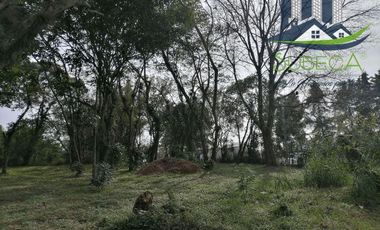 Venta de Terrenos, Briones, Zoncuantla, Coatepec