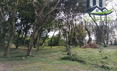 Venta de Terrenos, Briones, Zoncuantla, Coatepec