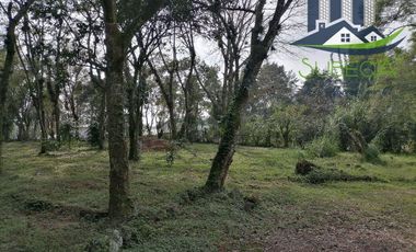 Venta de Terrenos, Briones, Zoncuantla, Coatepec
