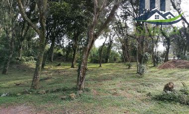 Venta de Terrenos, Briones, Zoncuantla, Coatepec