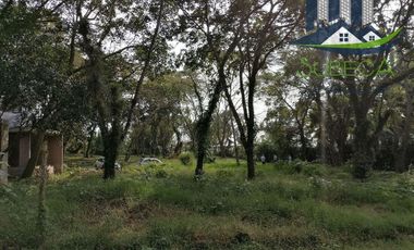 Venta de Terrenos, Briones, Zoncuantla, Coatepec