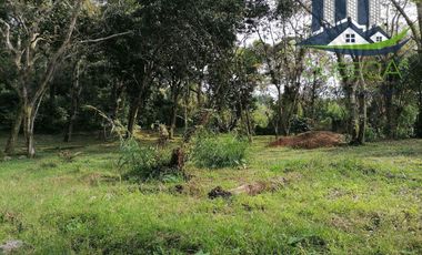 Venta de Terrenos, Briones, Zoncuantla, Coatepec