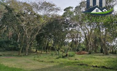 Venta de Terrenos, Briones, Zoncuantla, Coatepec