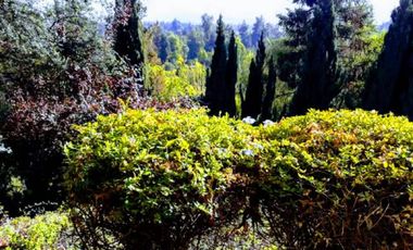 SENSACIONAL CASA  LO CURRO/ EL CANAL/ VITACURA / VENTA