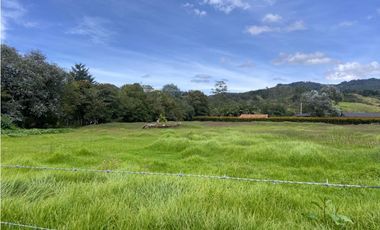 Lote en Arriendo en El Tablazo