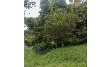 Lote San Francisco 2.600 mts