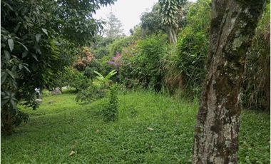 Lote San Francisco 2.600 mts