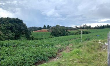 Venta lote en La Unión: 30.000 m² con vista y topografía plana.